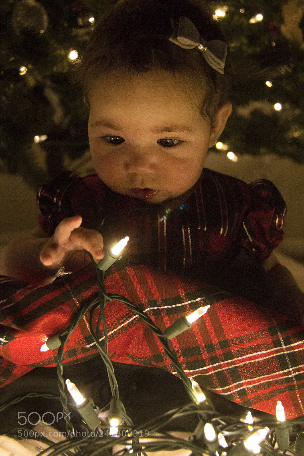 Canon EOS 60D sample photo. Kenley30 photography