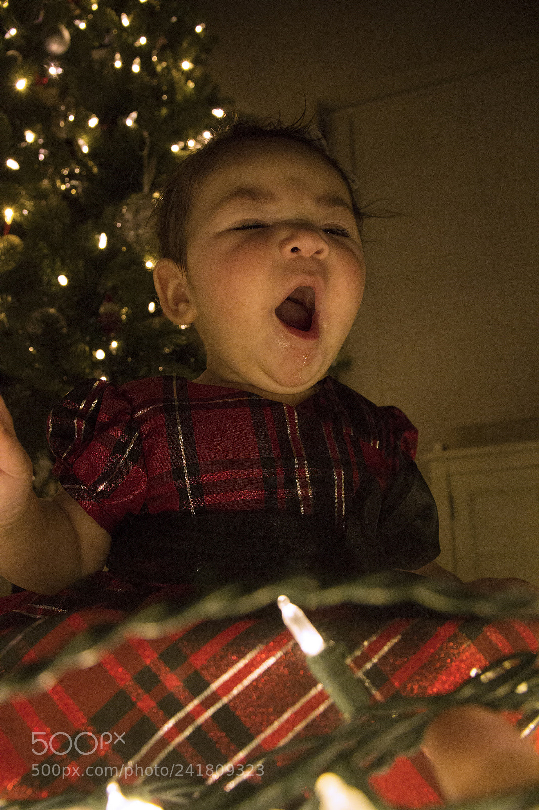 Canon EOS 60D sample photo. Kenley32 photography