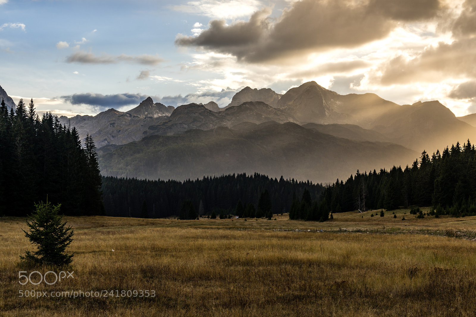 Sony a7 II sample photo. Durmitor national park ii photography