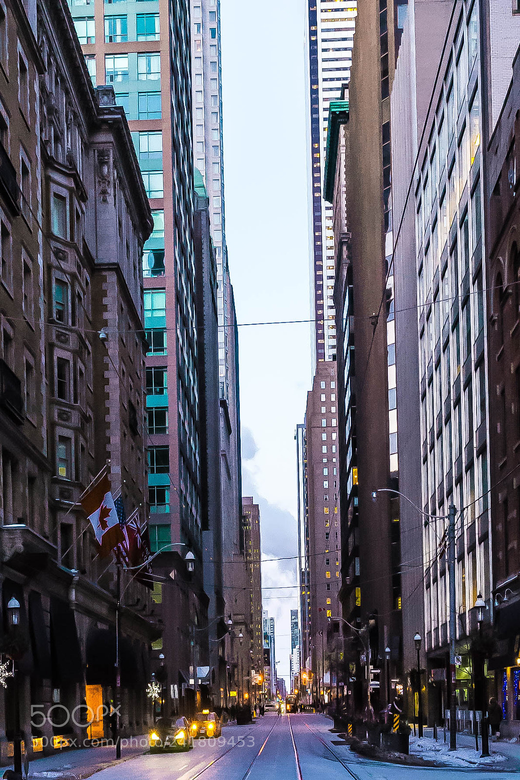 Sony a7 sample photo. Lavender downtown photography