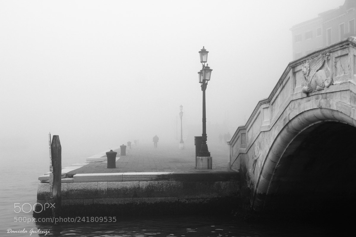 Canon EOS 550D (EOS Rebel T2i / EOS Kiss X4) sample photo. A foggy day photography