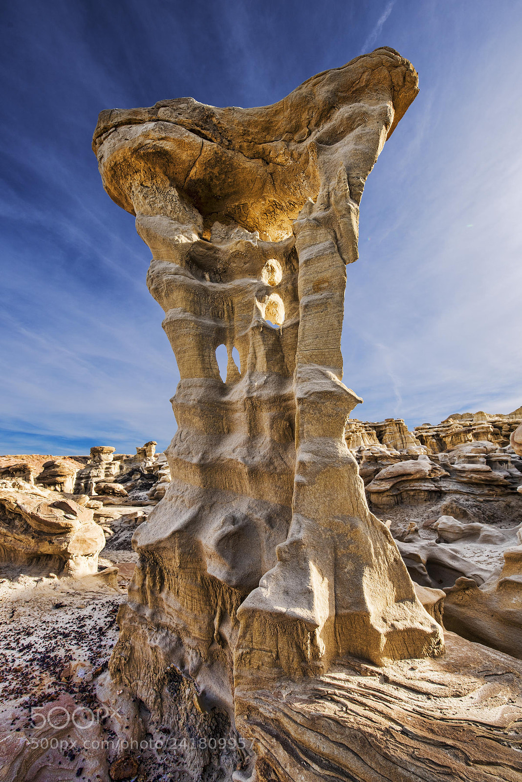 Nikon D810 sample photo. Alien throne photography