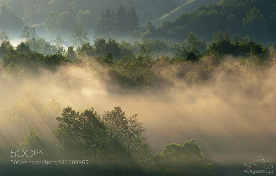 Nikon D700 sample photo. Morning mood photography