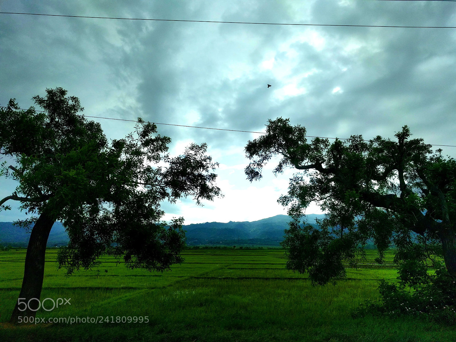 LG Nexus 5X sample photo. Where north india meets photography