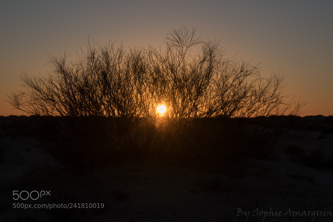 Nikon D750 sample photo. Sunset under the dunes photography