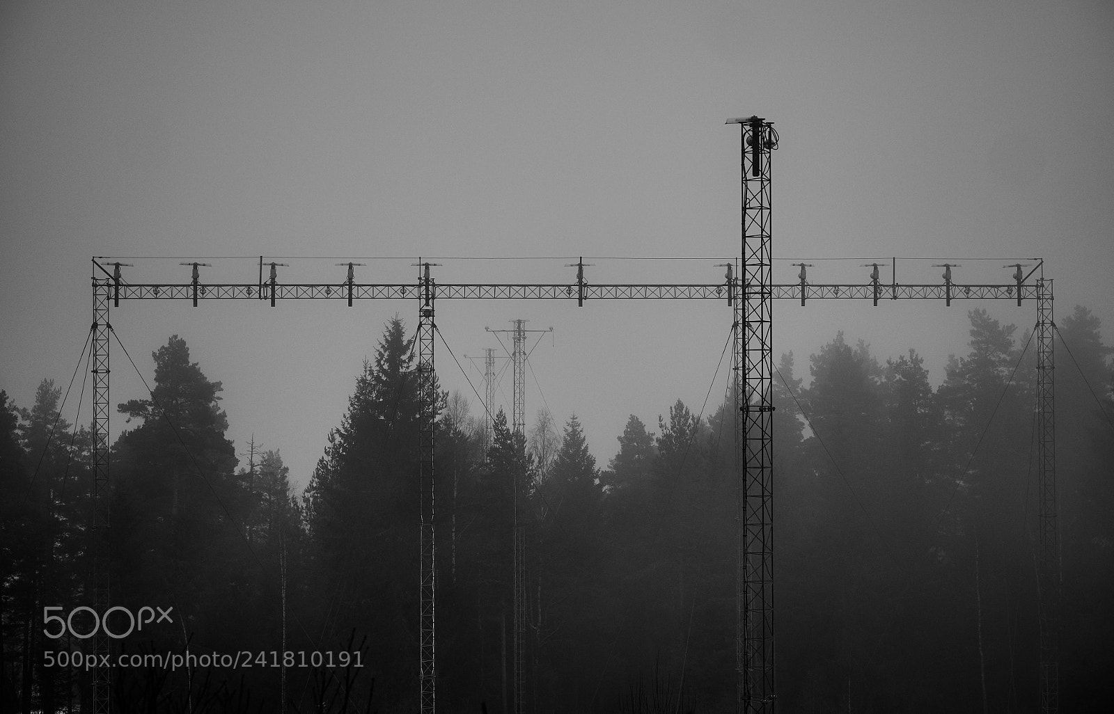 Fujifilm X-Pro1 sample photo. In the fog photography