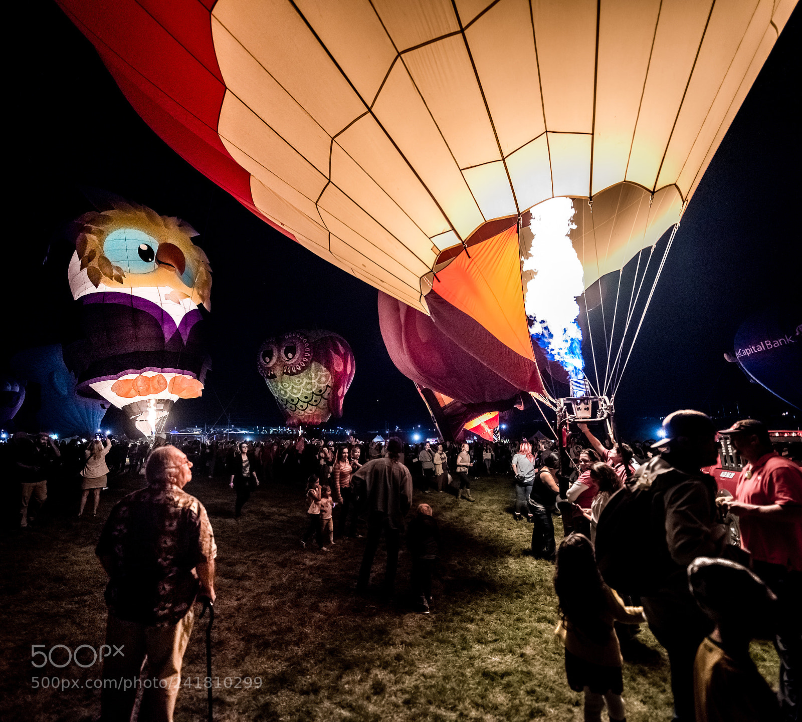 Nikon D810 sample photo. Ageless wonder at balloon photography