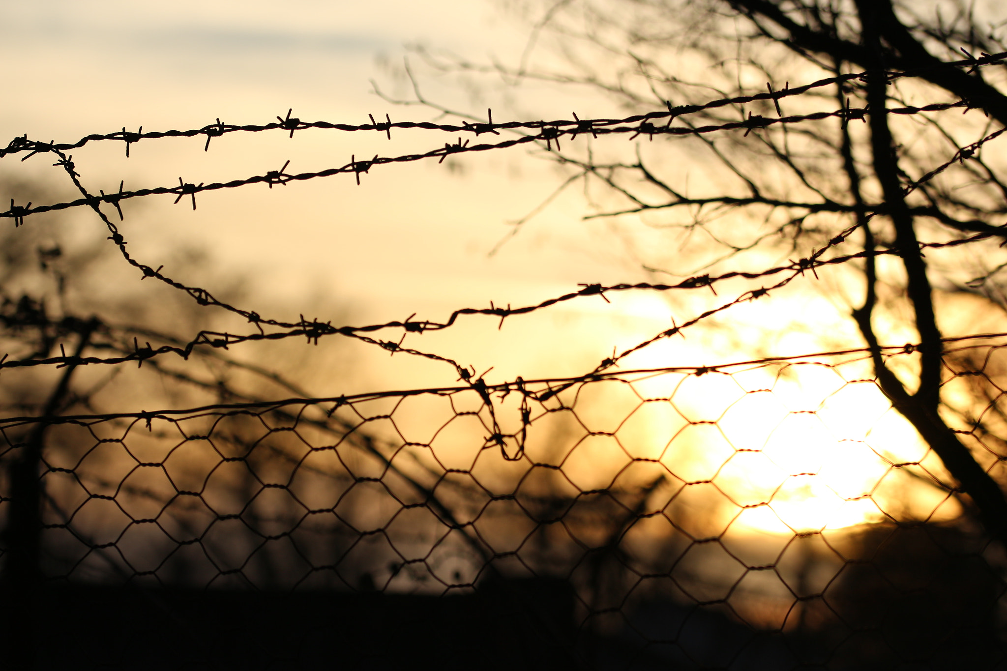 Sigma 105mm F2.8 EX DG OS HSM sample photo. Barbed wire facing the sunset photography