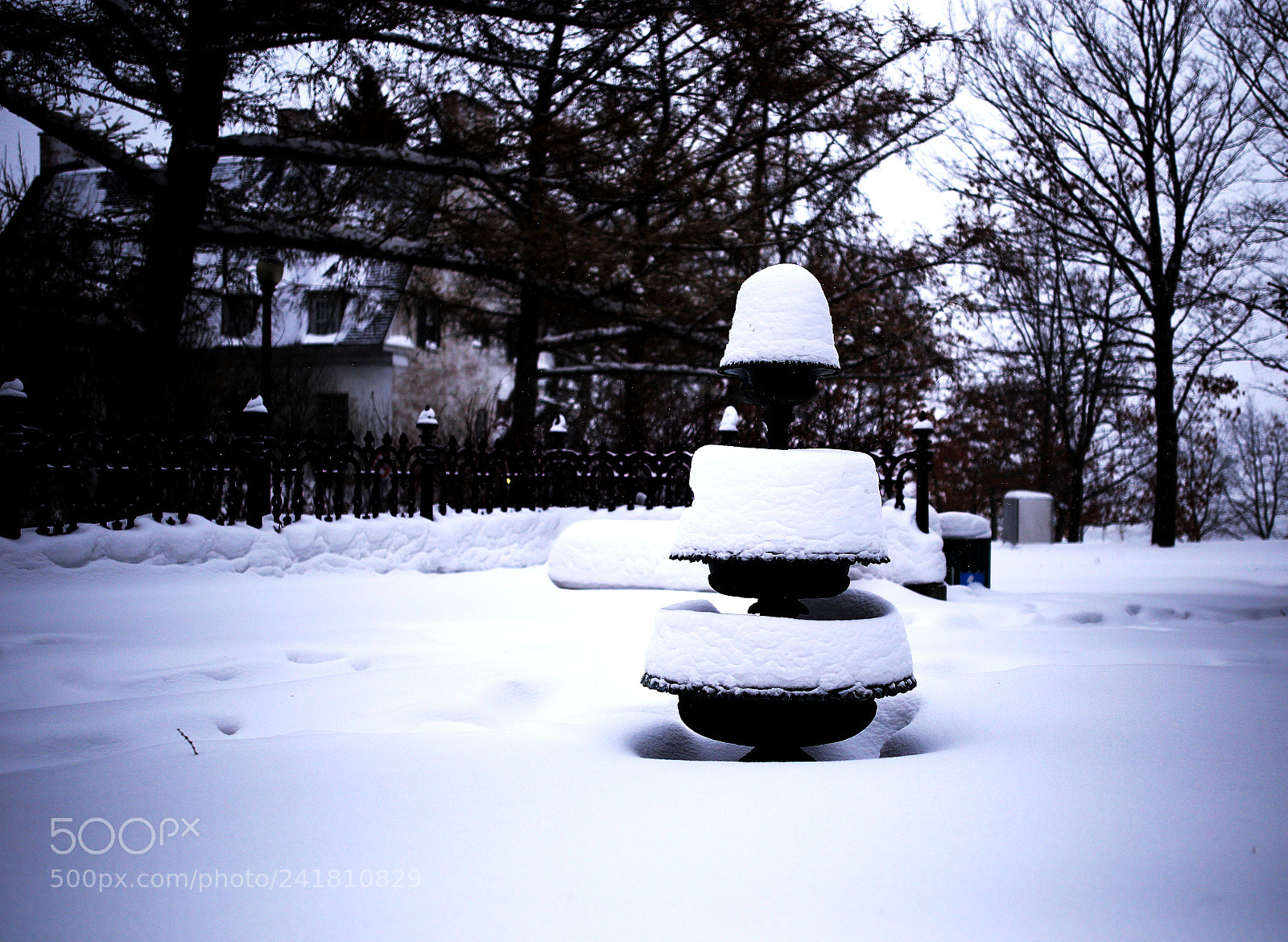 Canon EOS 6D sample photo. Fontaine de neige photography