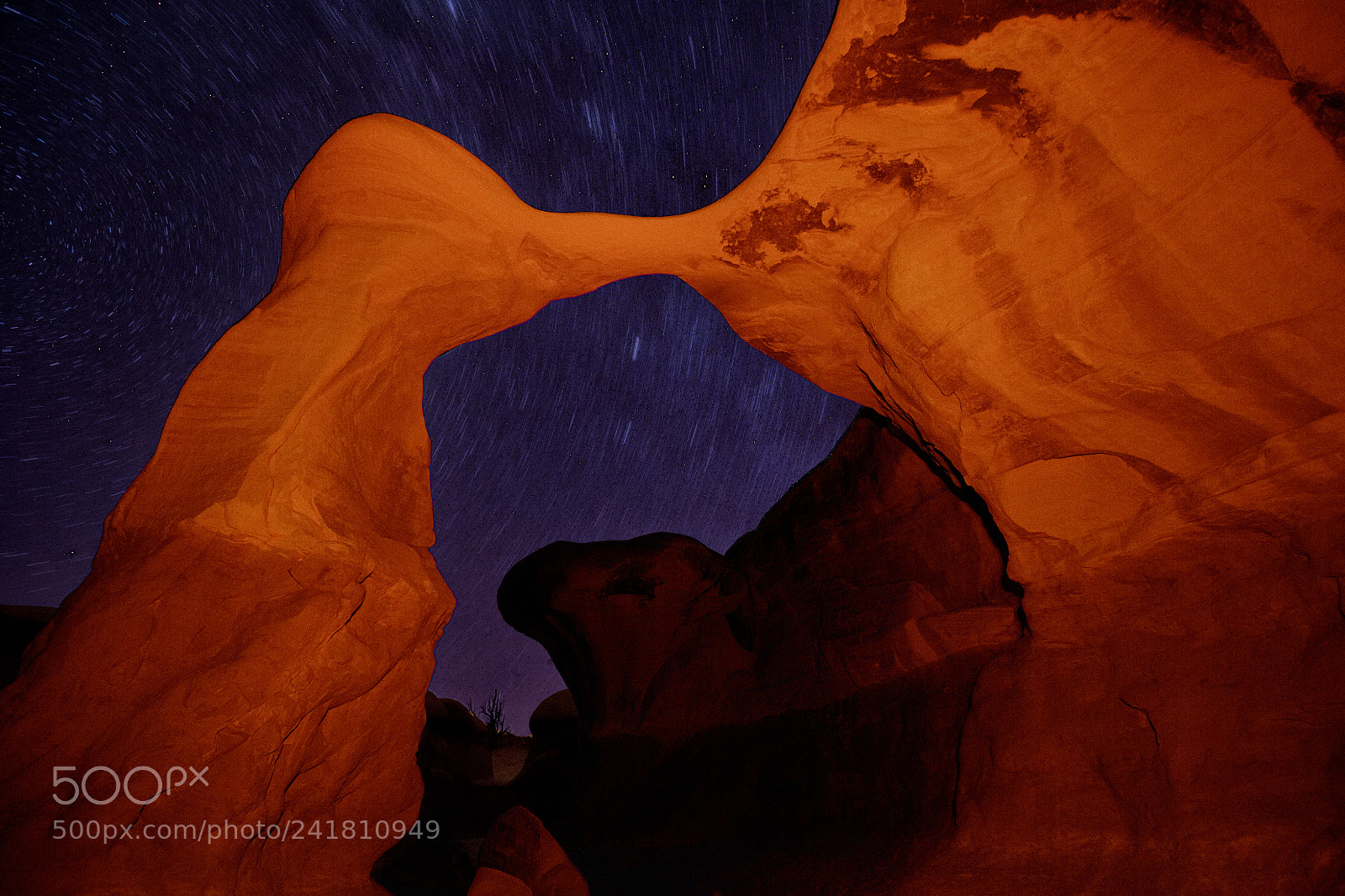 Canon EOS 5DS R sample photo. Untitled photography