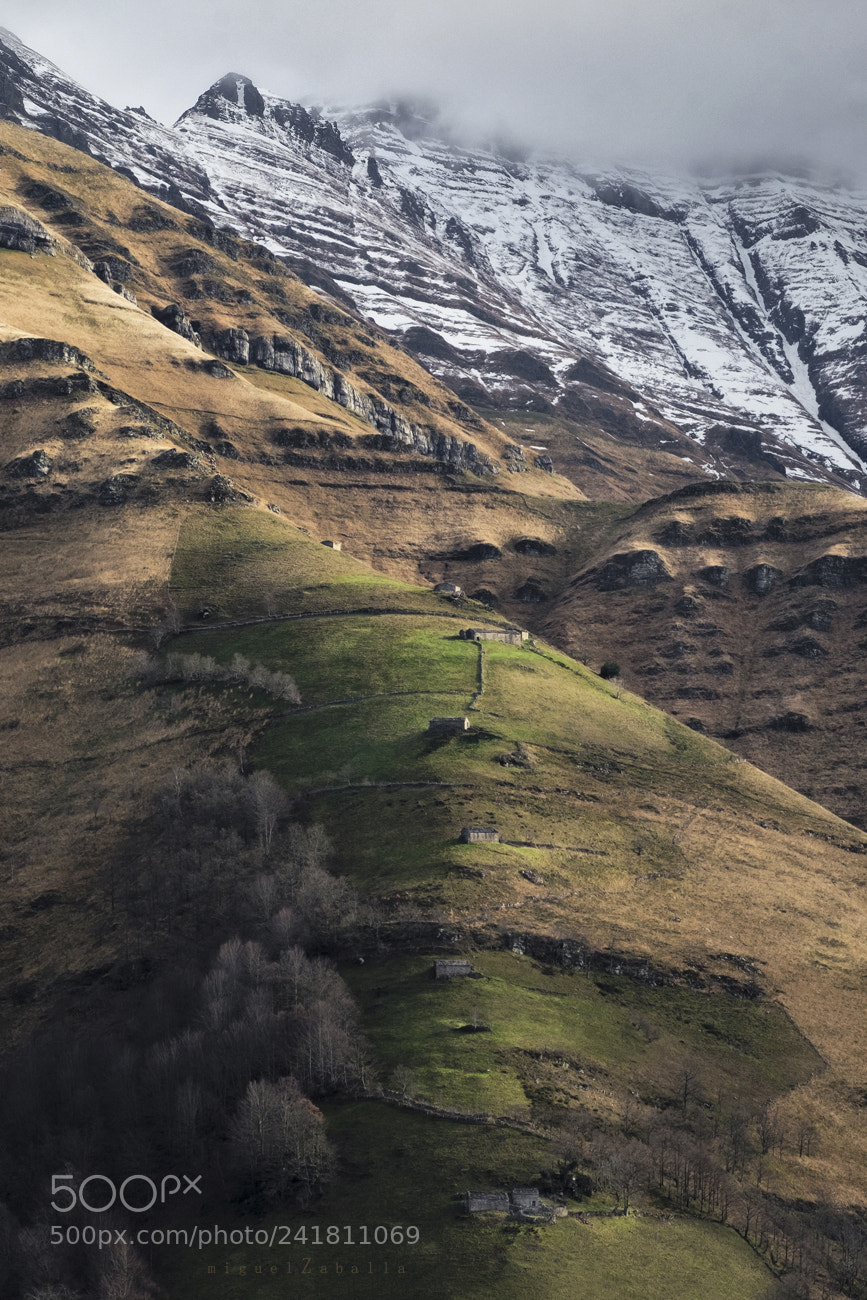Fujifilm X-T1 sample photo. Higlands photography