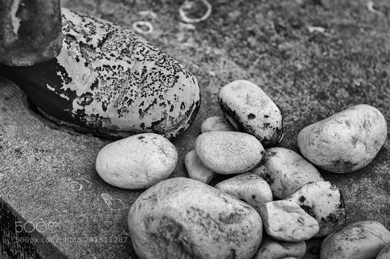 Nikon D700 sample photo. Schoonselhof 1 photography