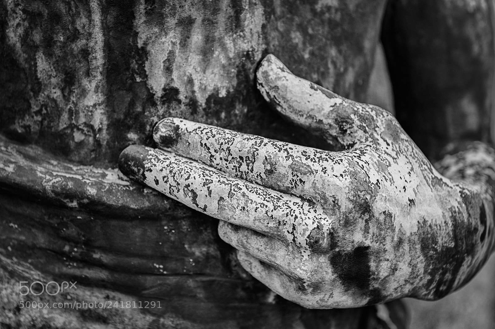 Nikon D700 sample photo. Schoonselhof 2 photography