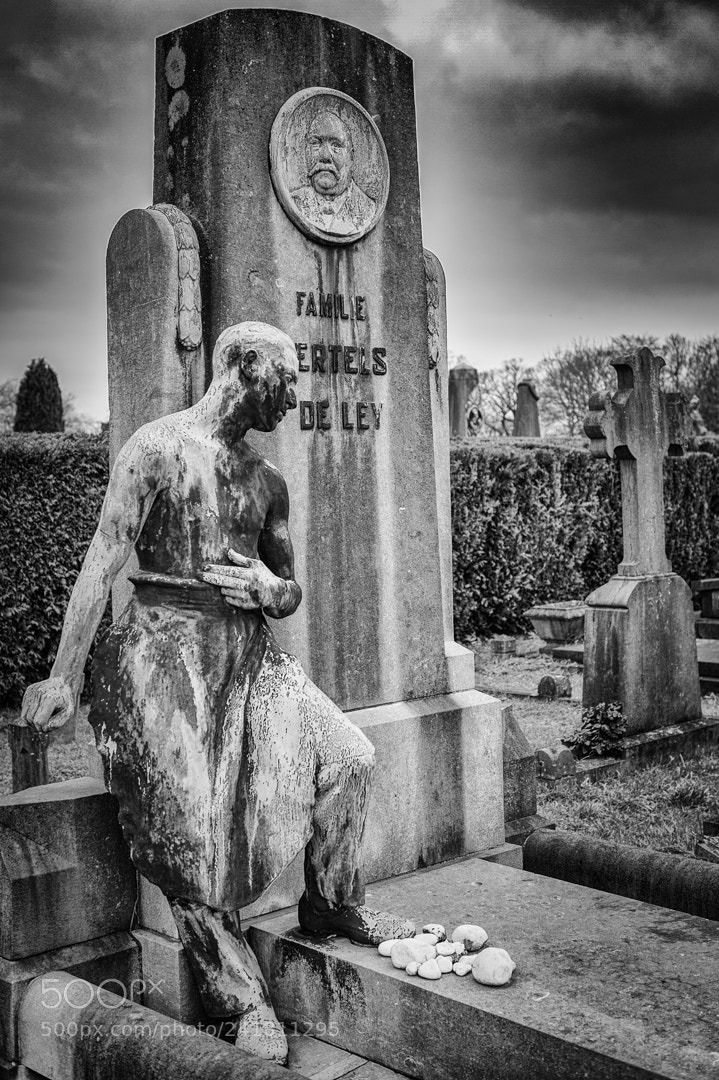 Nikon D700 sample photo. Schoonselhof 3 photography