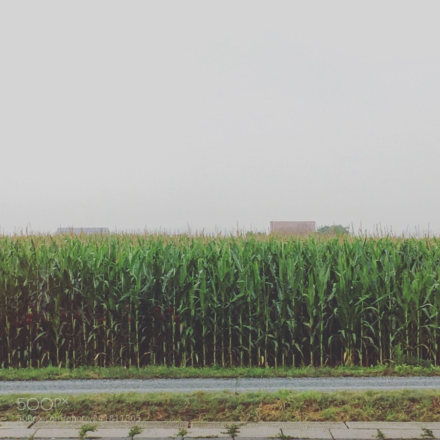 Apple iPhone 6s sample photo. Travelling in europe: germany photography