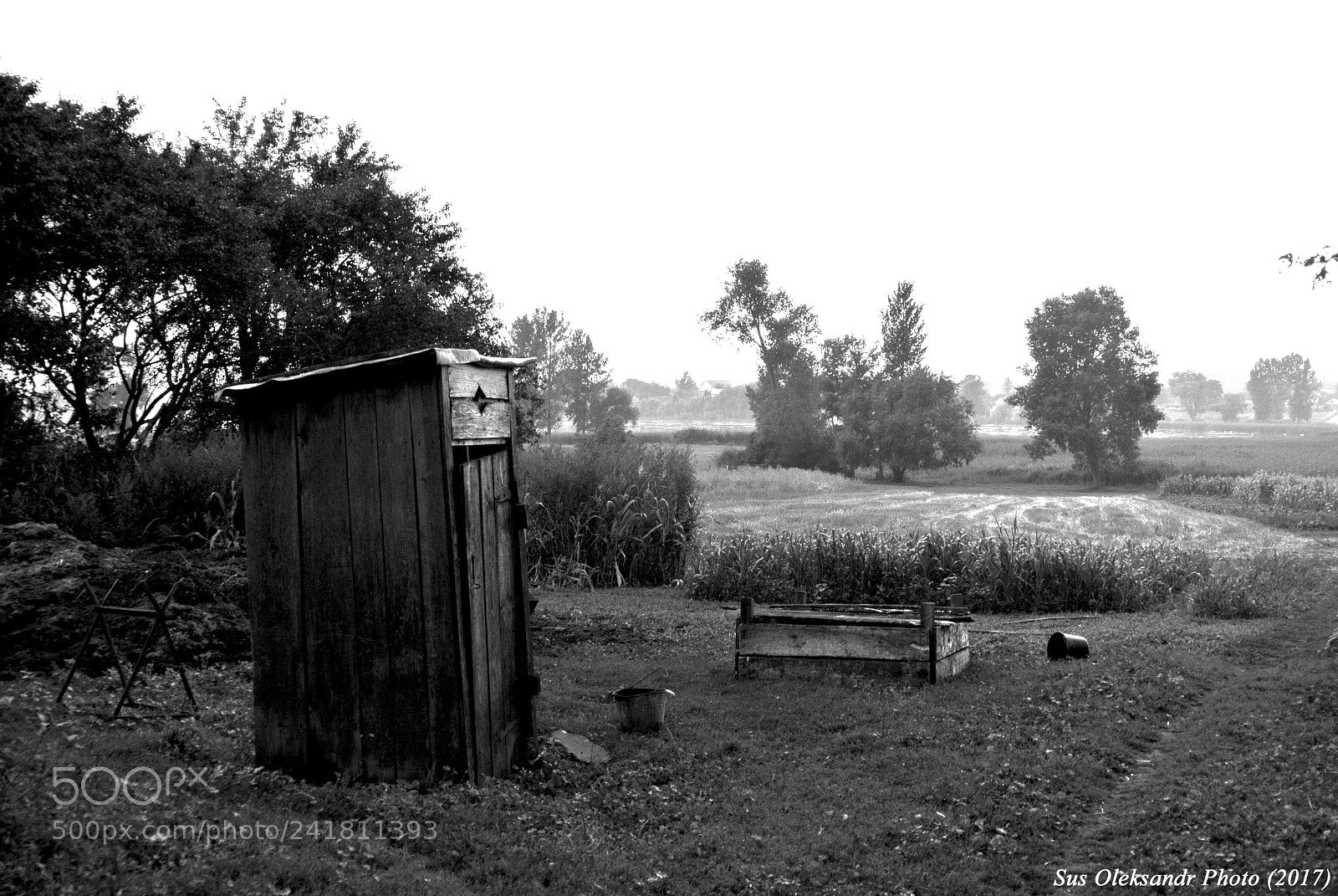 Nikon 1 V1 sample photo. Ukranian countryside photography