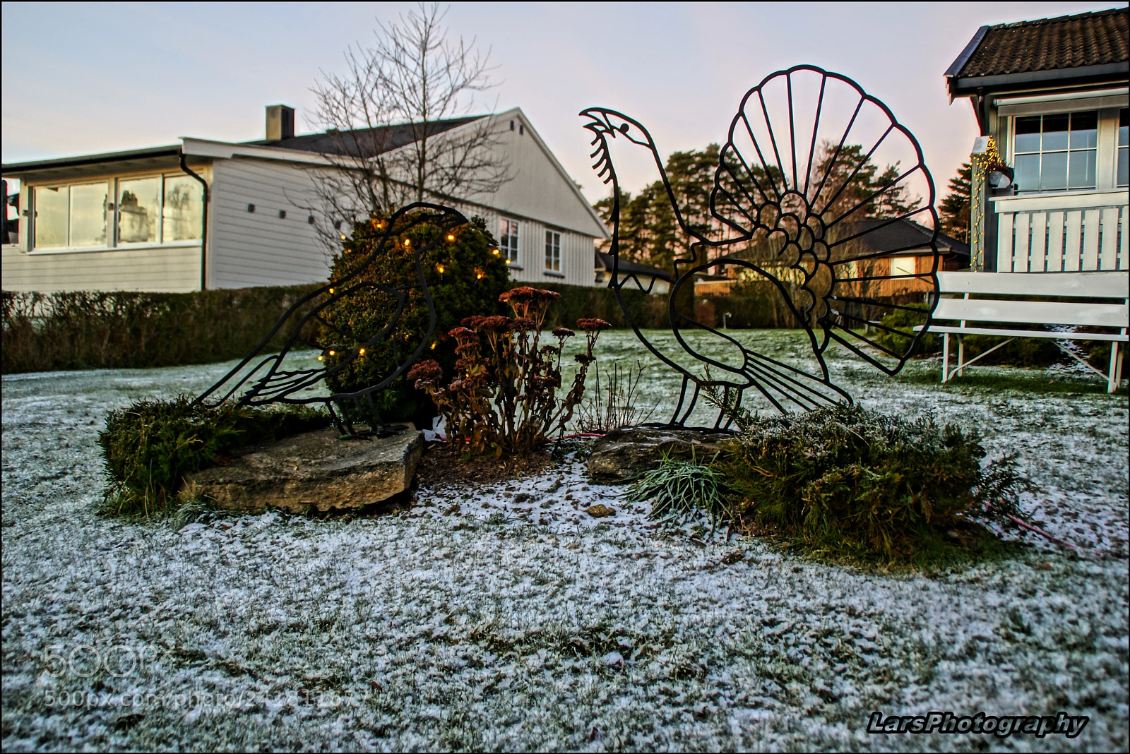 Sony SLT-A77 sample photo. Fugler photography