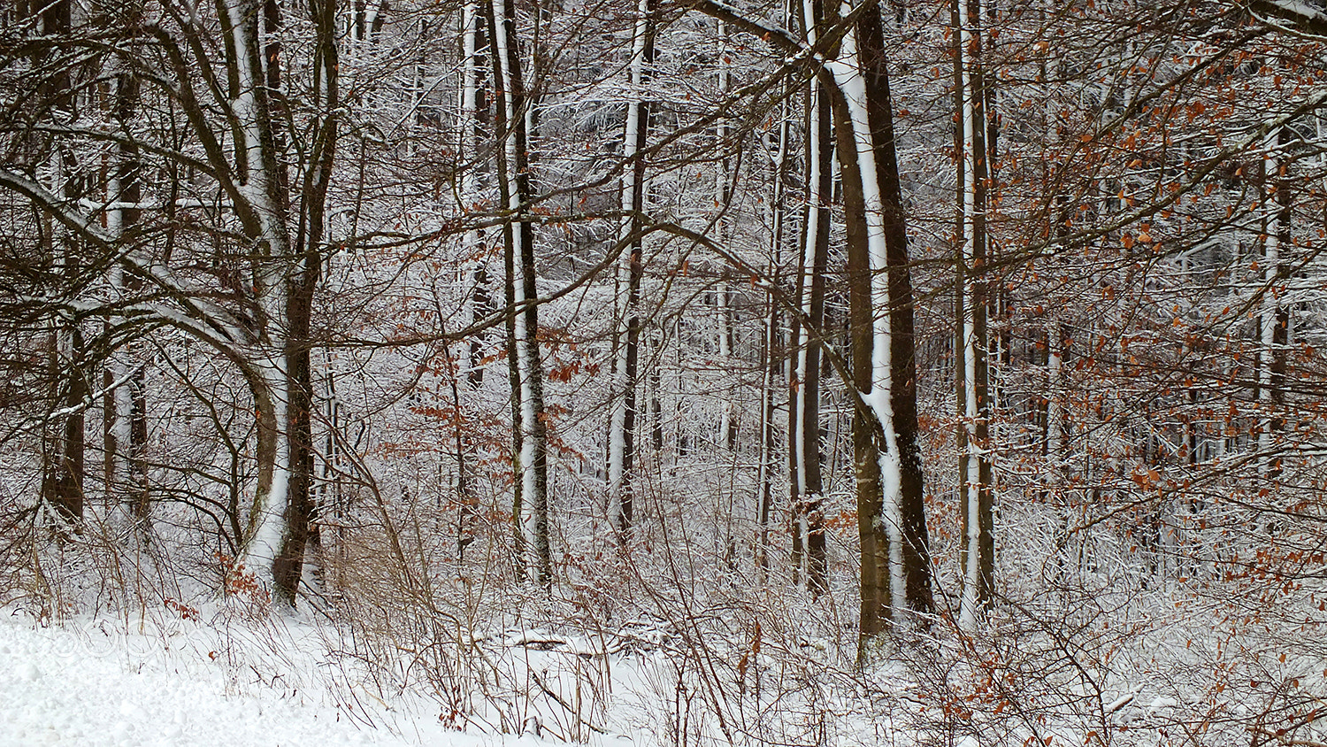 Fujifilm FinePix HS30EXR sample photo. Vertical snow stripes :p photography