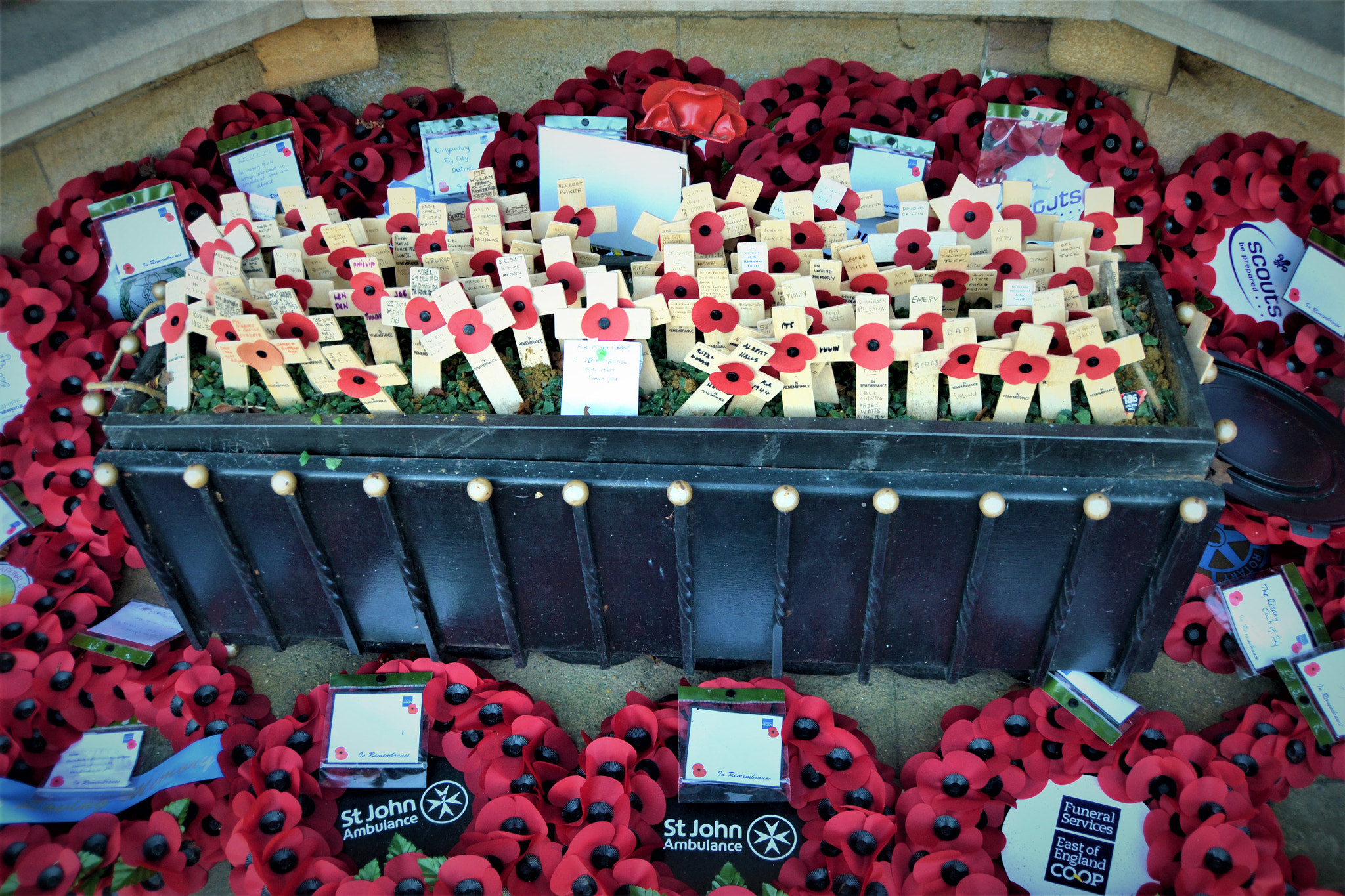 Nikon D3100 sample photo. Remembrance photography