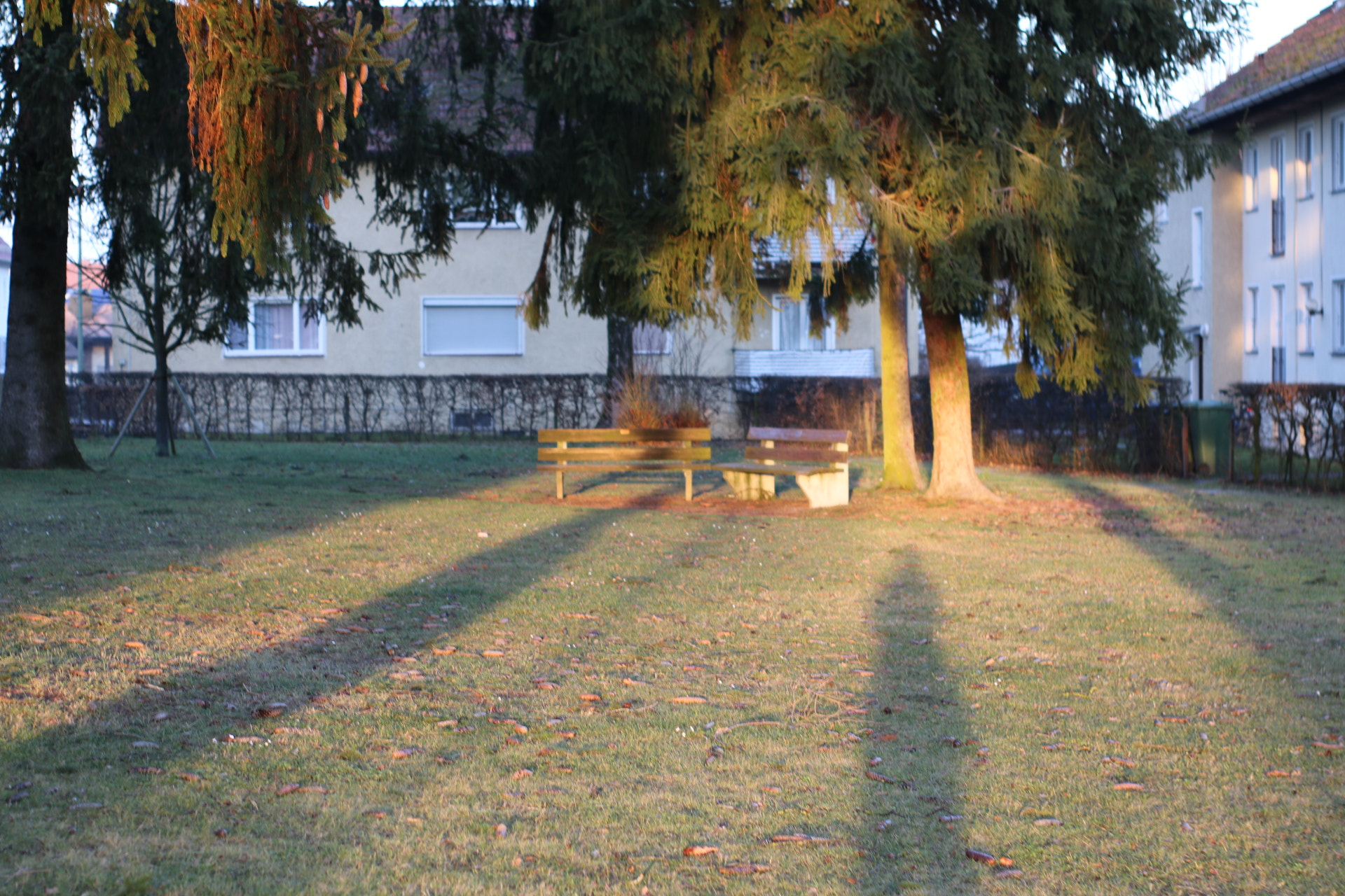 Canon 50mm sample photo. Shadow photography