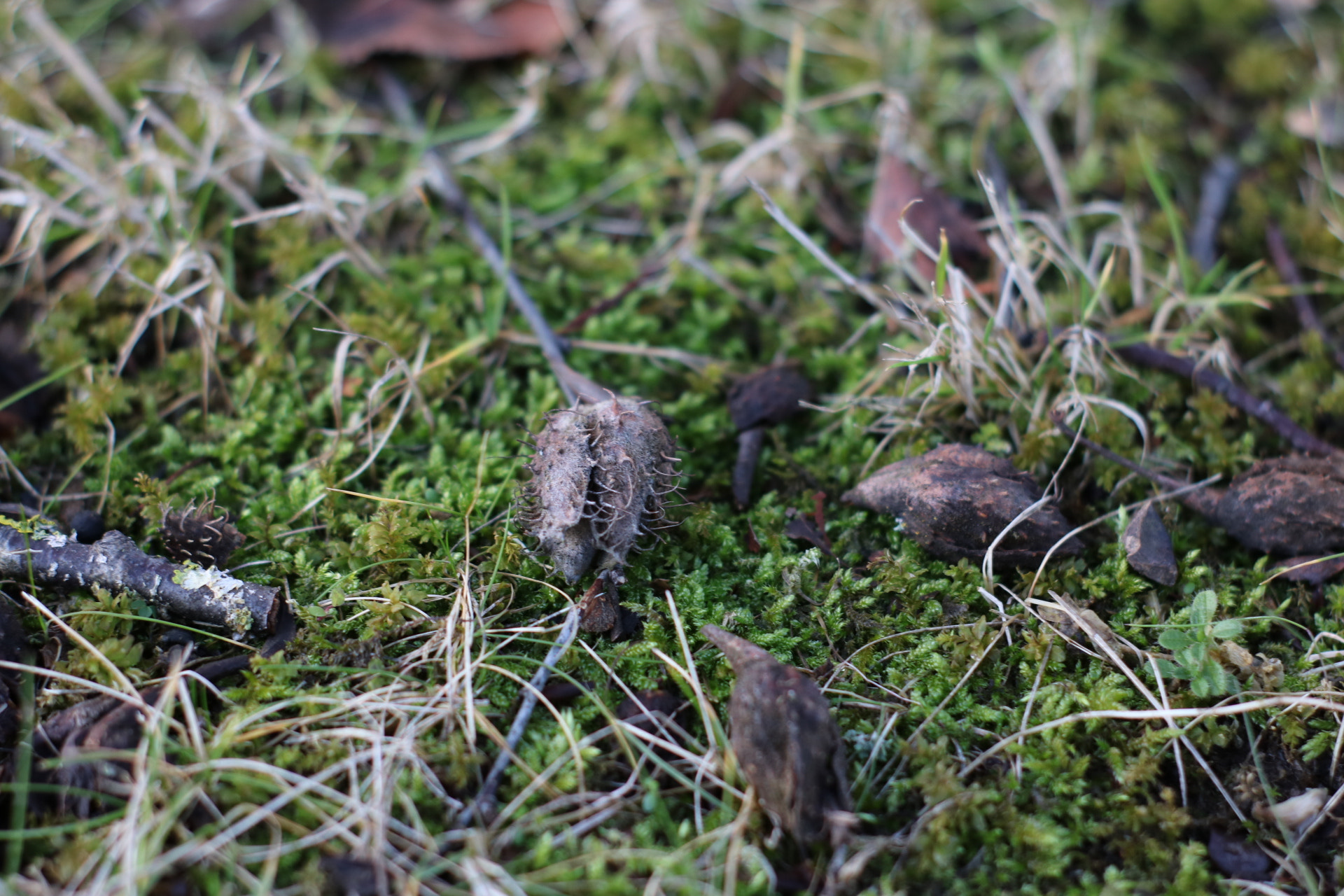 Canon 50mm sample photo. Broken photography
