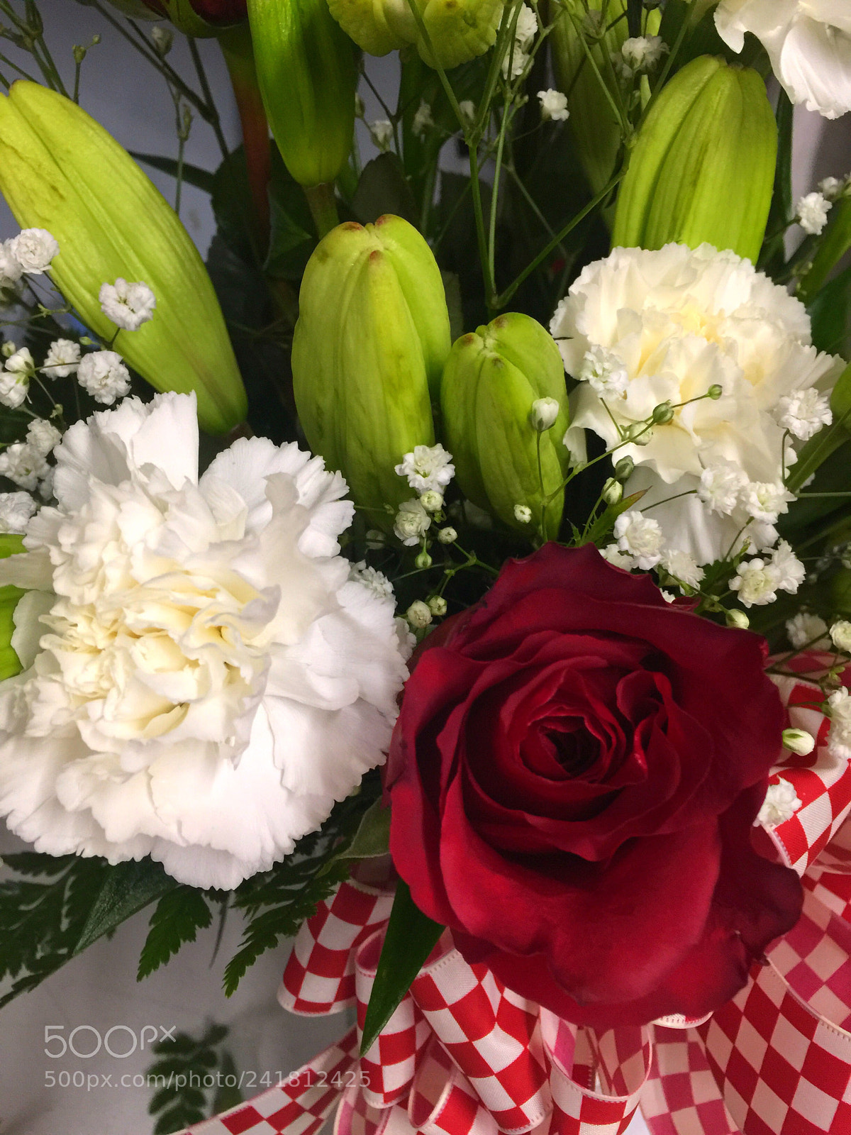 Apple iPhone 6 Plus sample photo. Today’s  flower ? photography