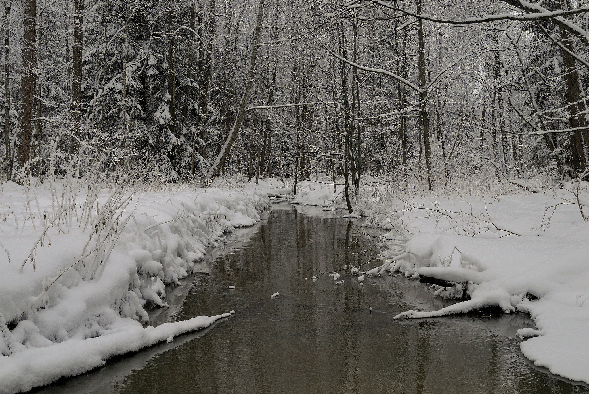 Nikon D300 + Nikon AF-S DX Nikkor 18-55mm F3.5-5.6G VR sample photo. Winter forest river. photography
