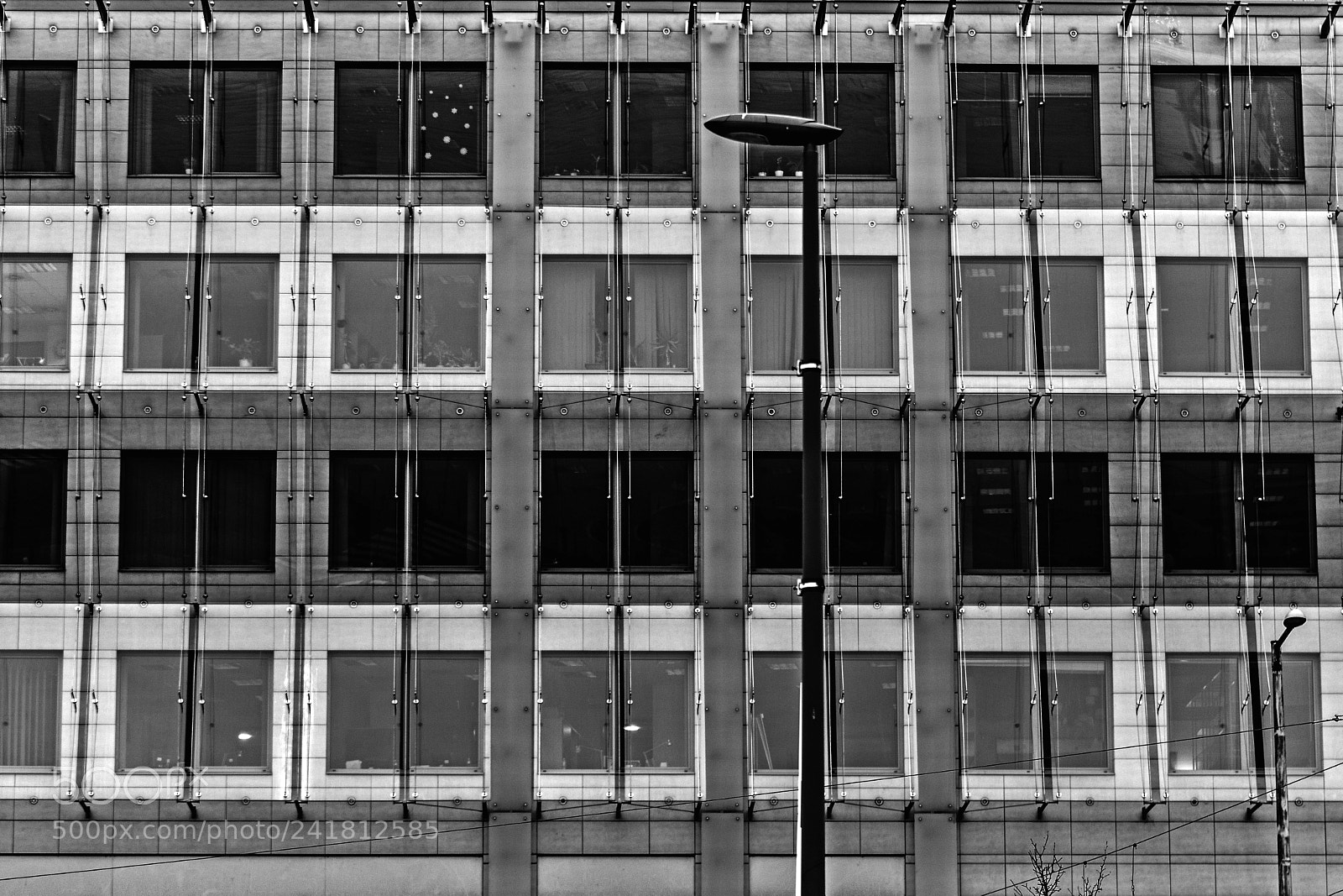 Nikon D7100 sample photo. Untitled photography