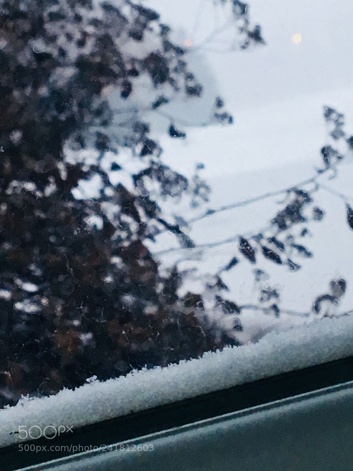 Apple iPhone 6s sample photo. Img photography