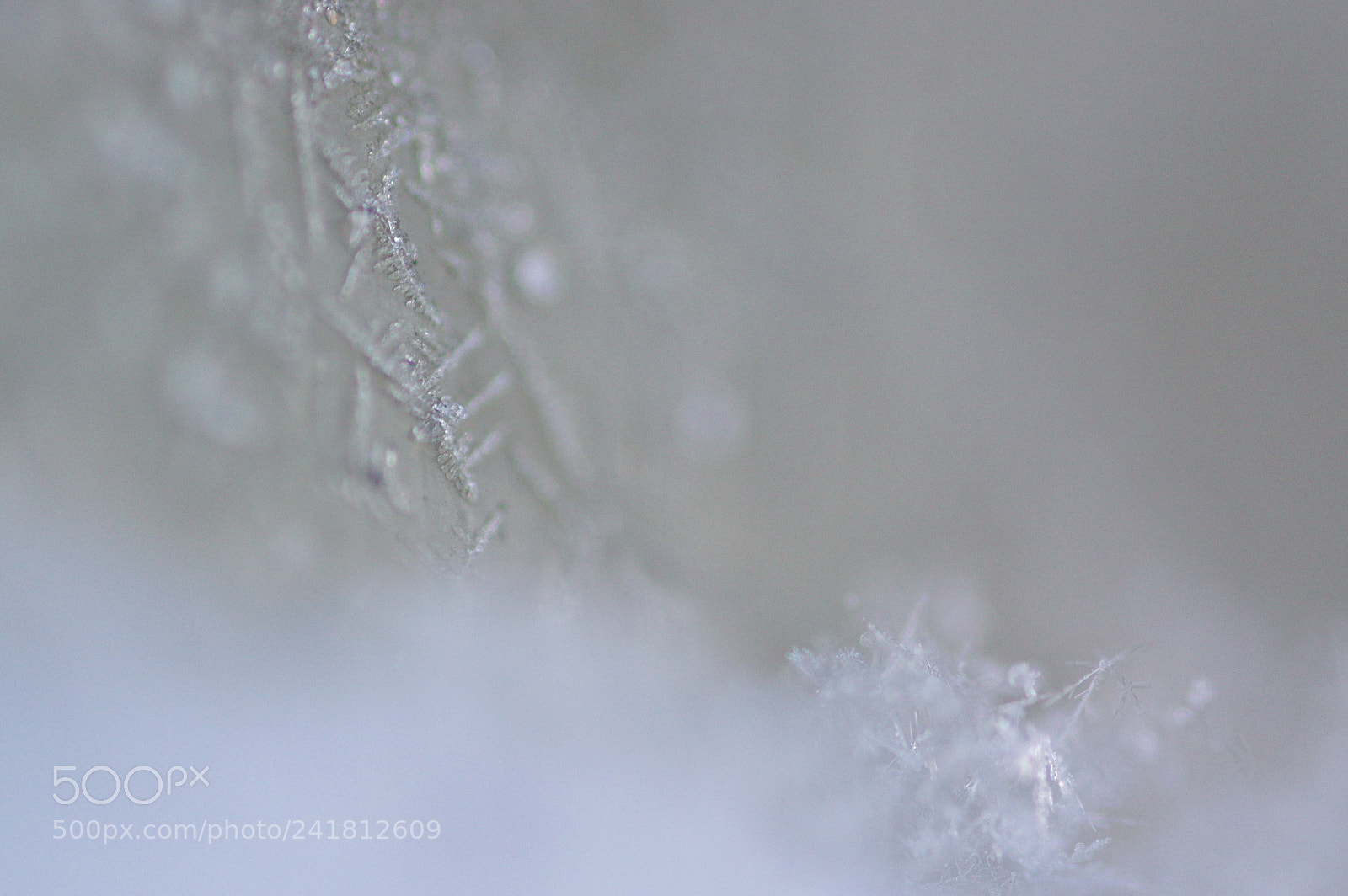Pentax K-3 sample photo. Snow - macrostyle 2 photography