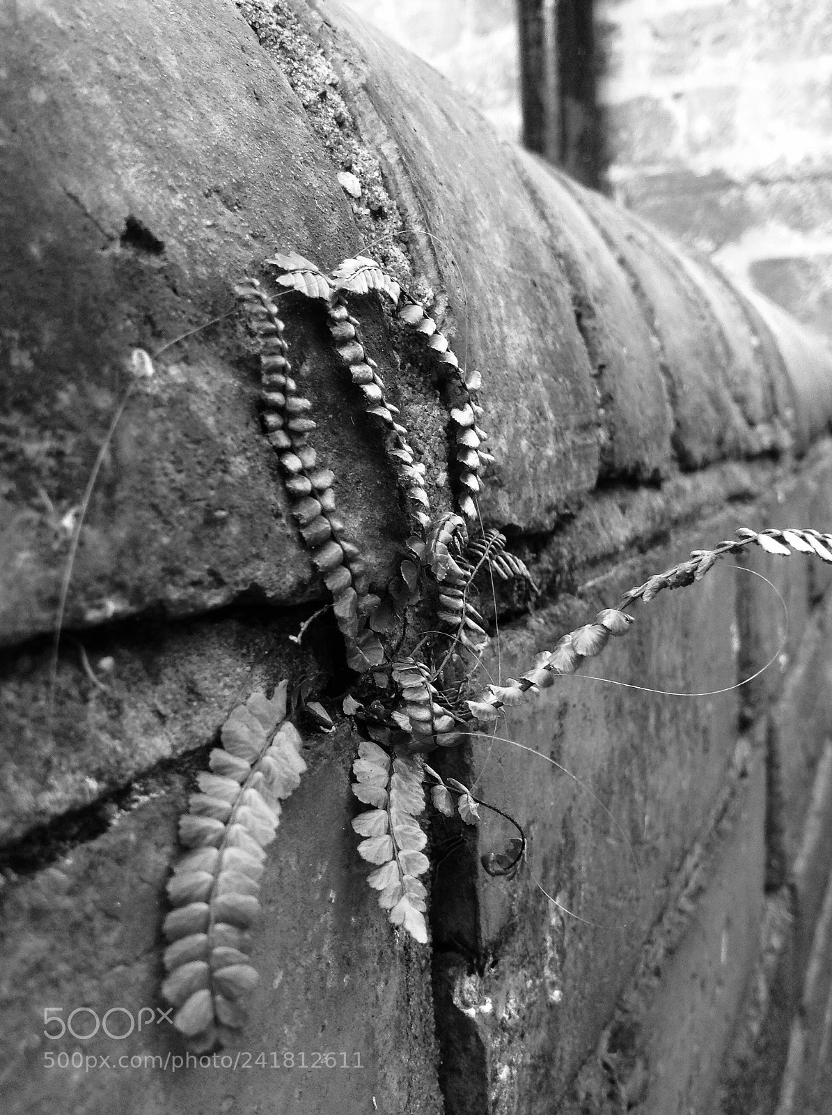 Apple iPod touch sample photo. Fullsizerender photography