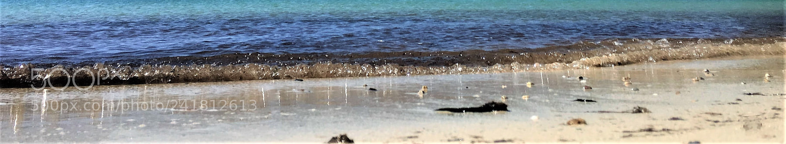 Apple iPhone 6s sample photo. On the beach! photography