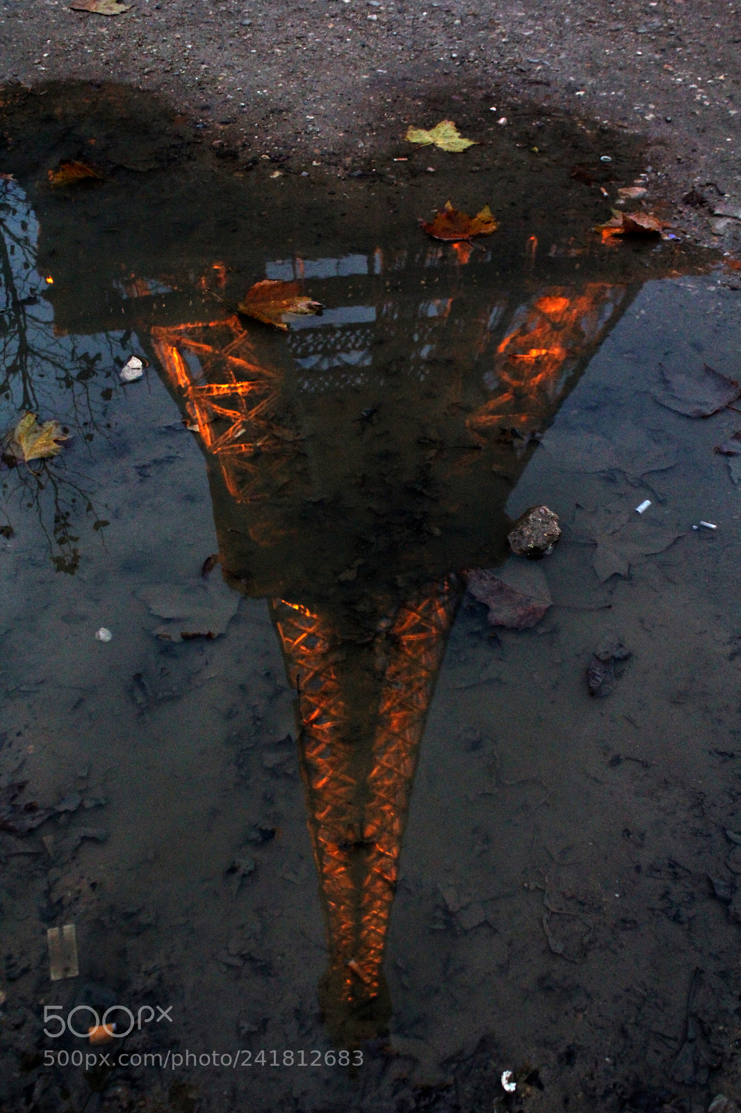 Canon EOS 550D (EOS Rebel T2i / EOS Kiss X4) sample photo. Puddle de paris photography