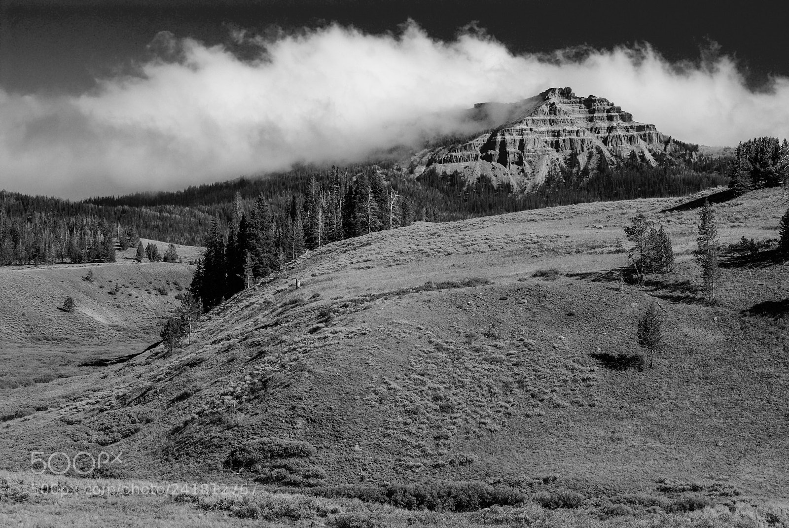Nikon D200 sample photo. Low clouds - high photography