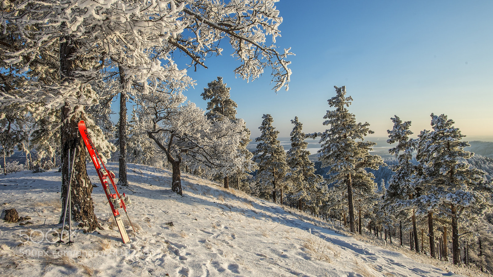 Nikon D800 sample photo. Winter day in the photography