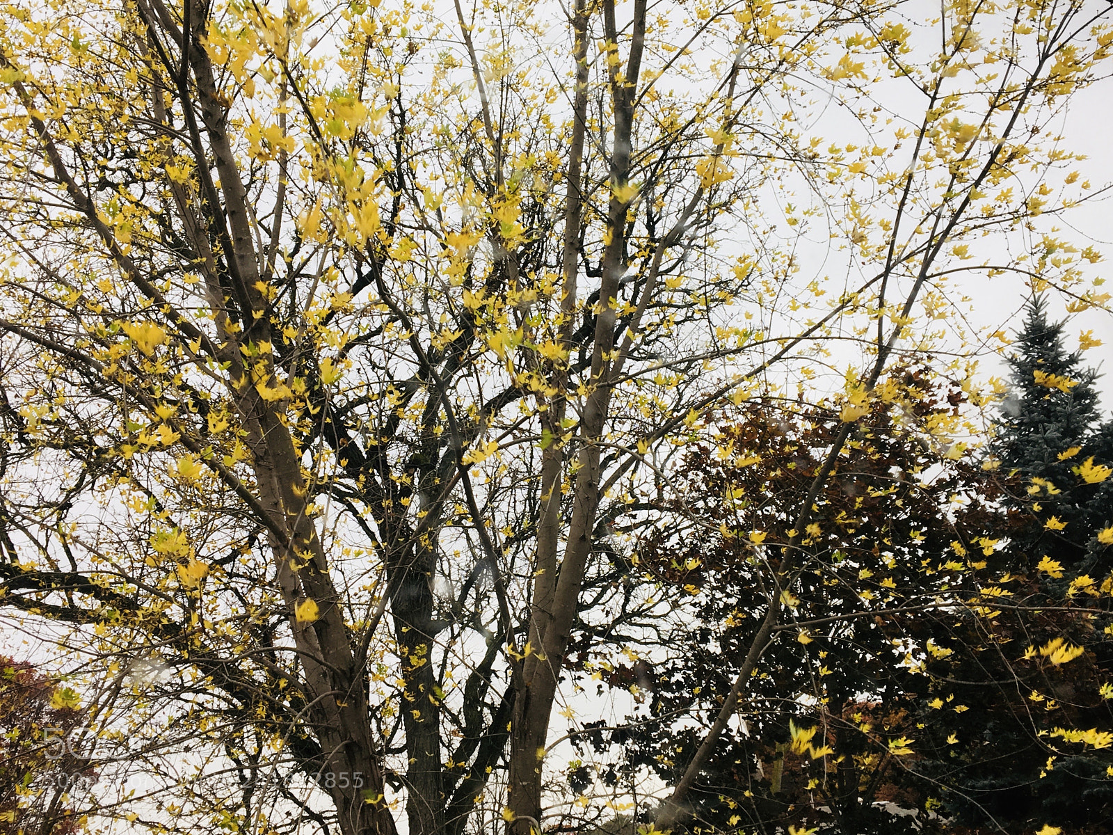 Apple iPhone 6s sample photo. Img_0015 2.jpg photography