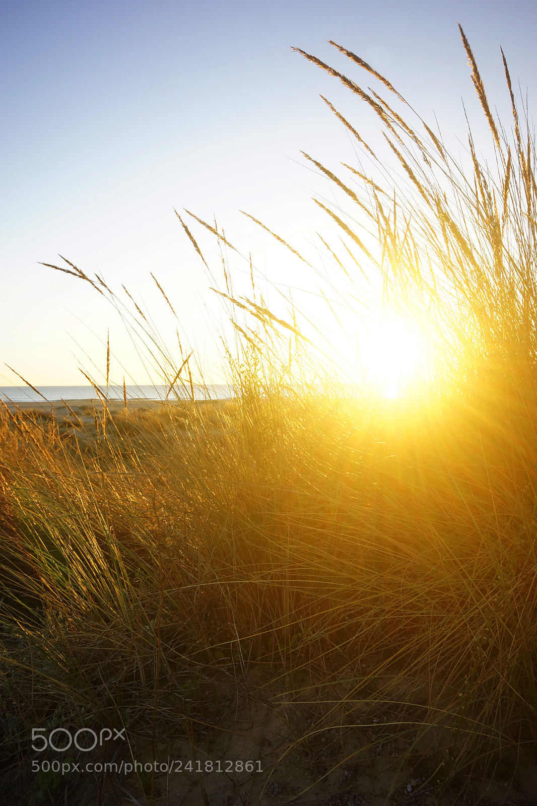 Sony SLT-A77 sample photo. Sunset photography