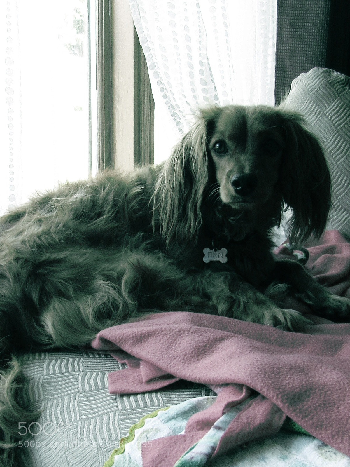 Canon PowerShot SX530 HS sample photo. Img photography