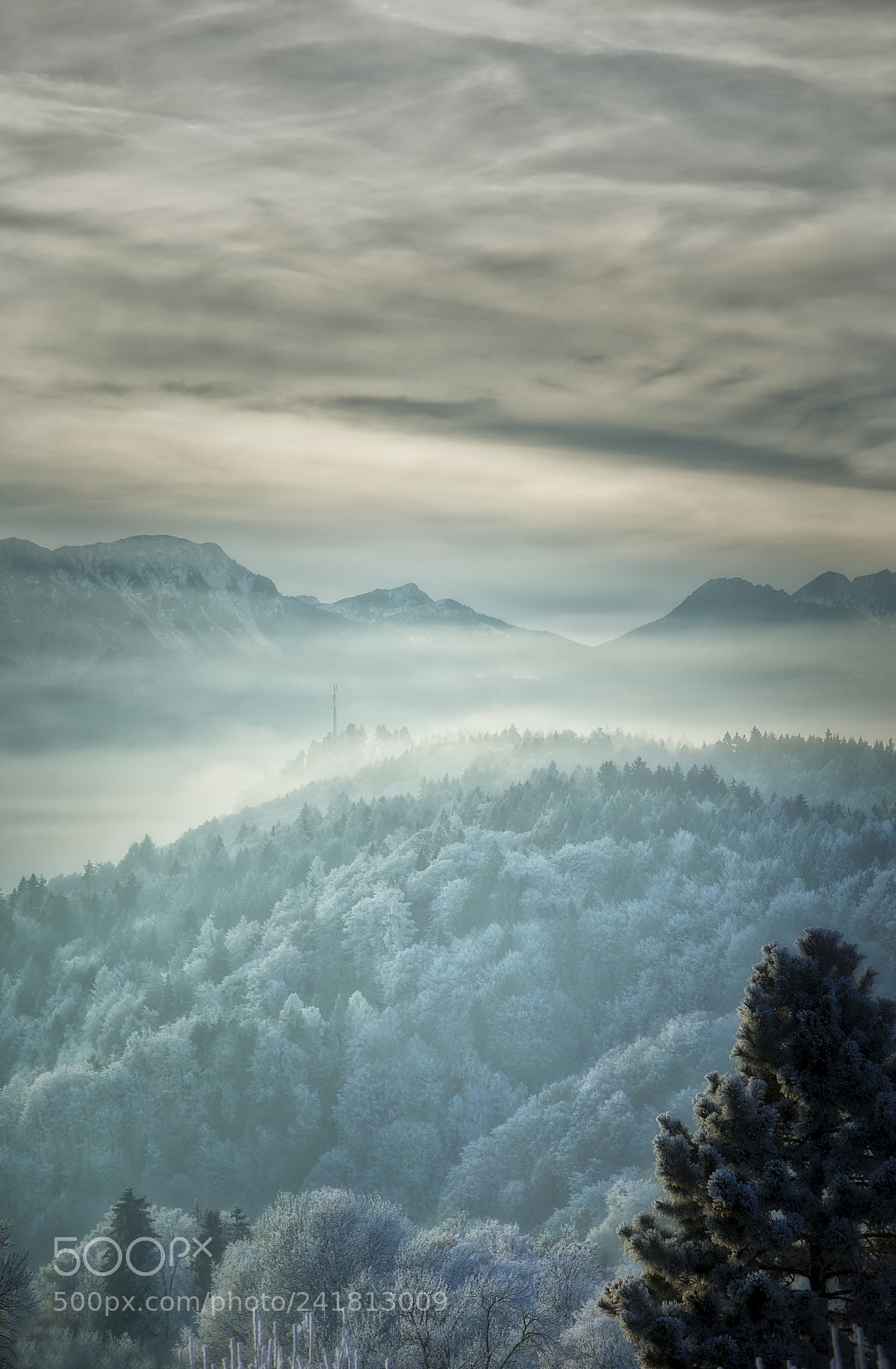 Canon EOS-1D X sample photo. Dreamworld carinthia photography