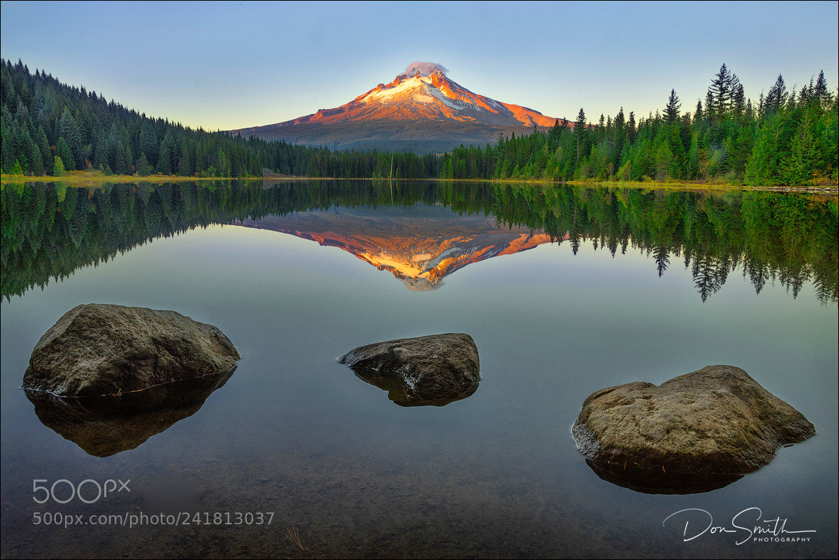Sony a7R sample photo. Mt. hood reflection photography