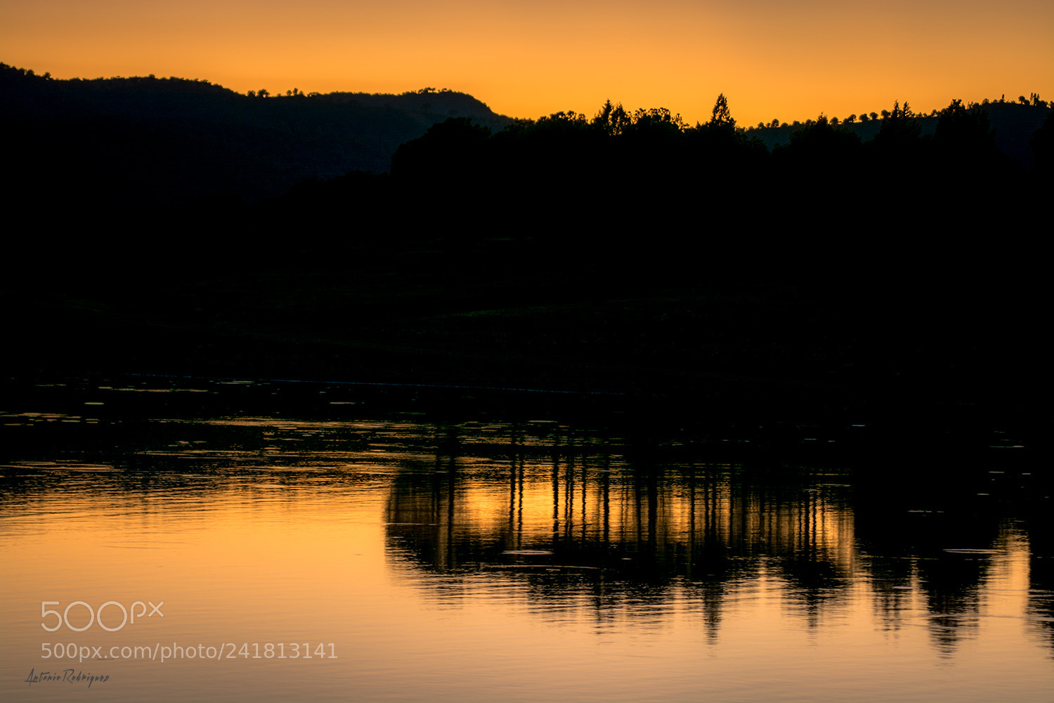 Nikon D7100 sample photo. Reflejos al atardecer photography