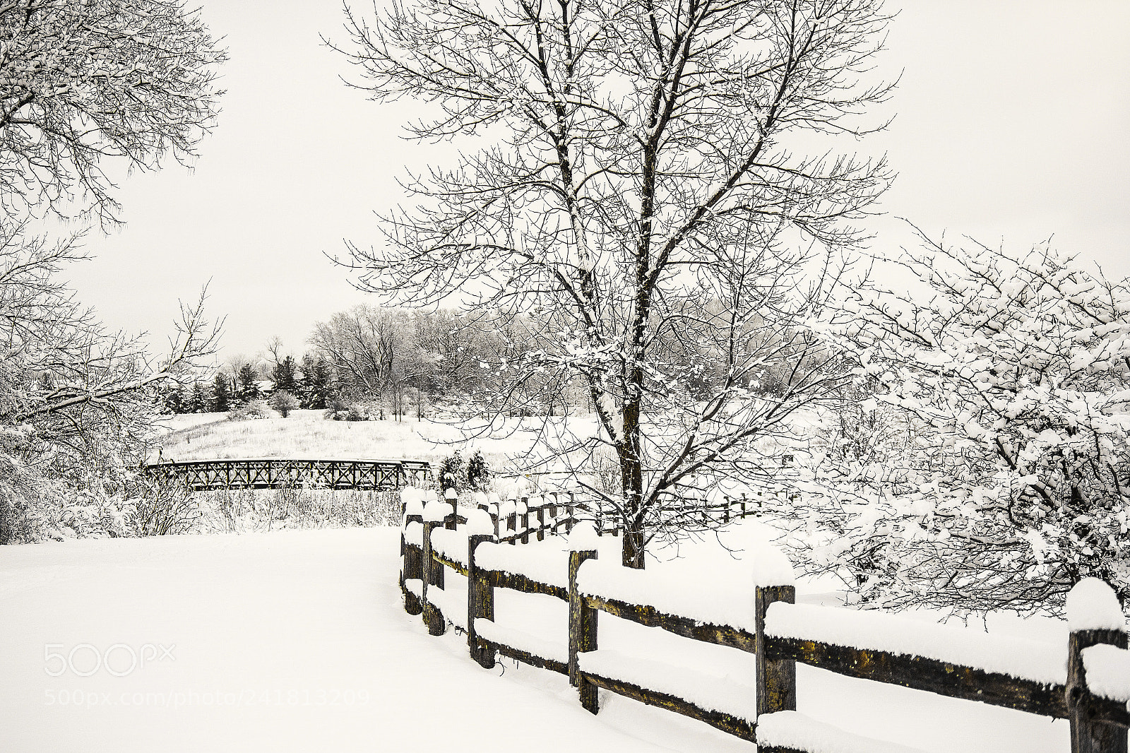 Canon EOS 550D (EOS Rebel T2i / EOS Kiss X4) sample photo. Winter wonderland photography