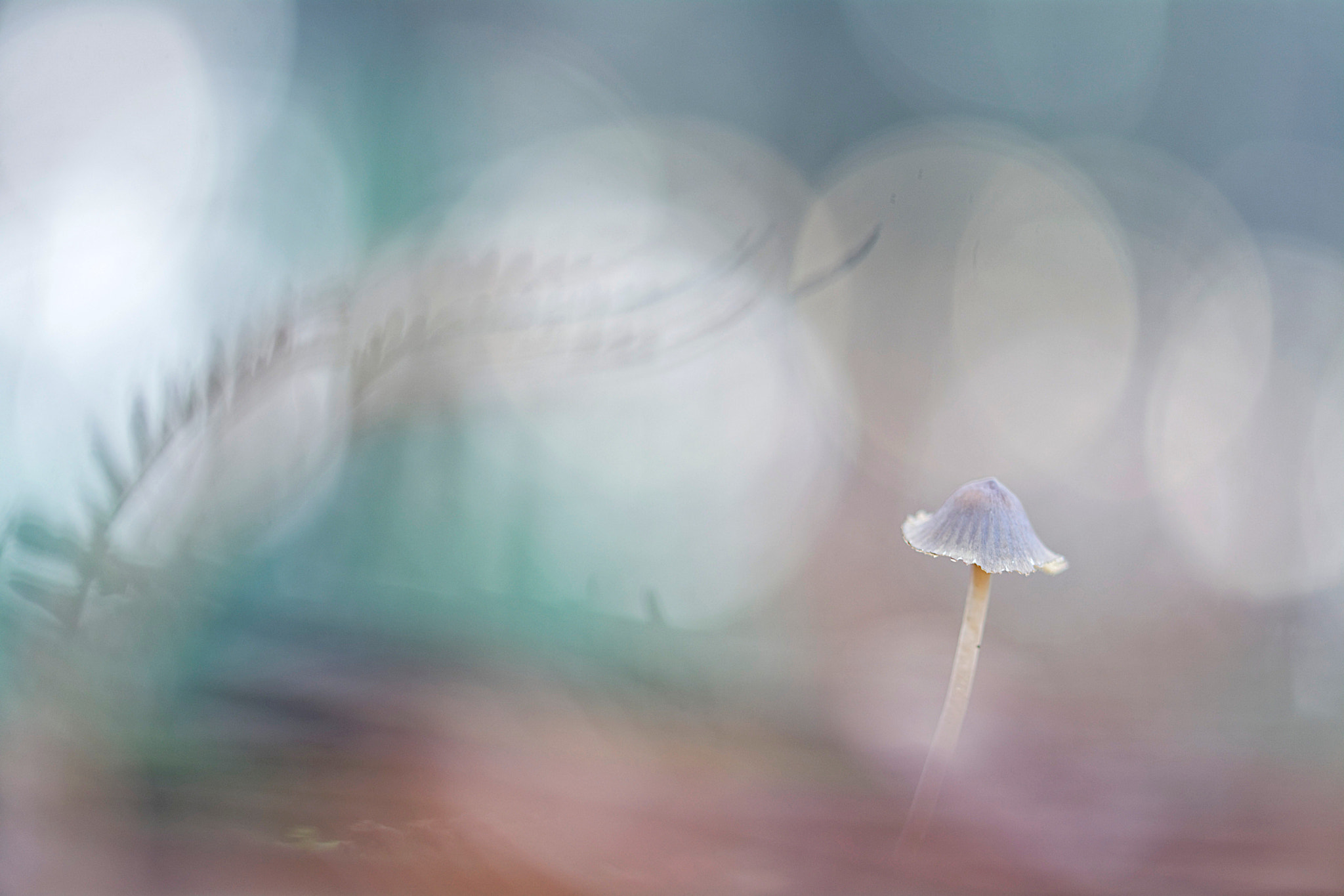 Sigma 105mm F2.8 EX DG OS HSM sample photo. Under the bridge photography