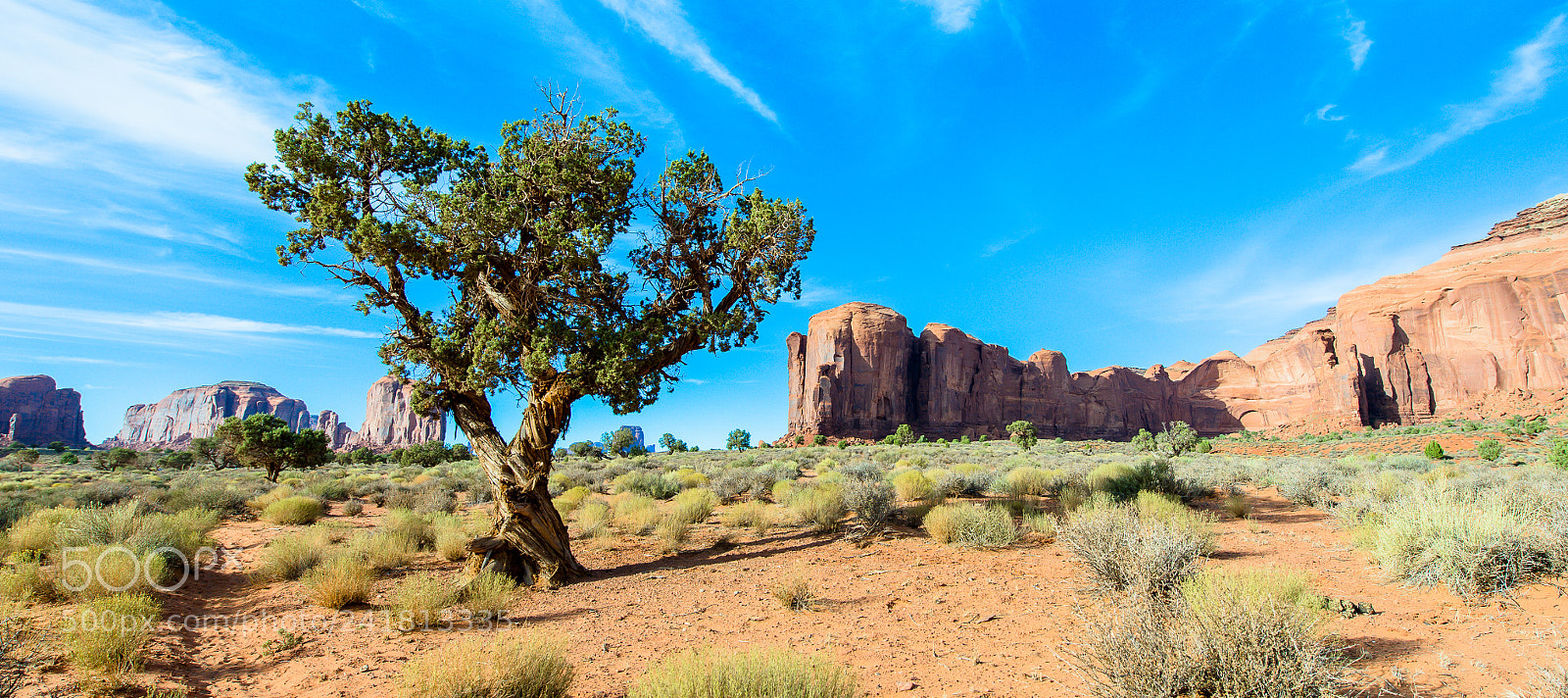 Nikon D4 sample photo. Day 3 - monument valley_2.0 photography