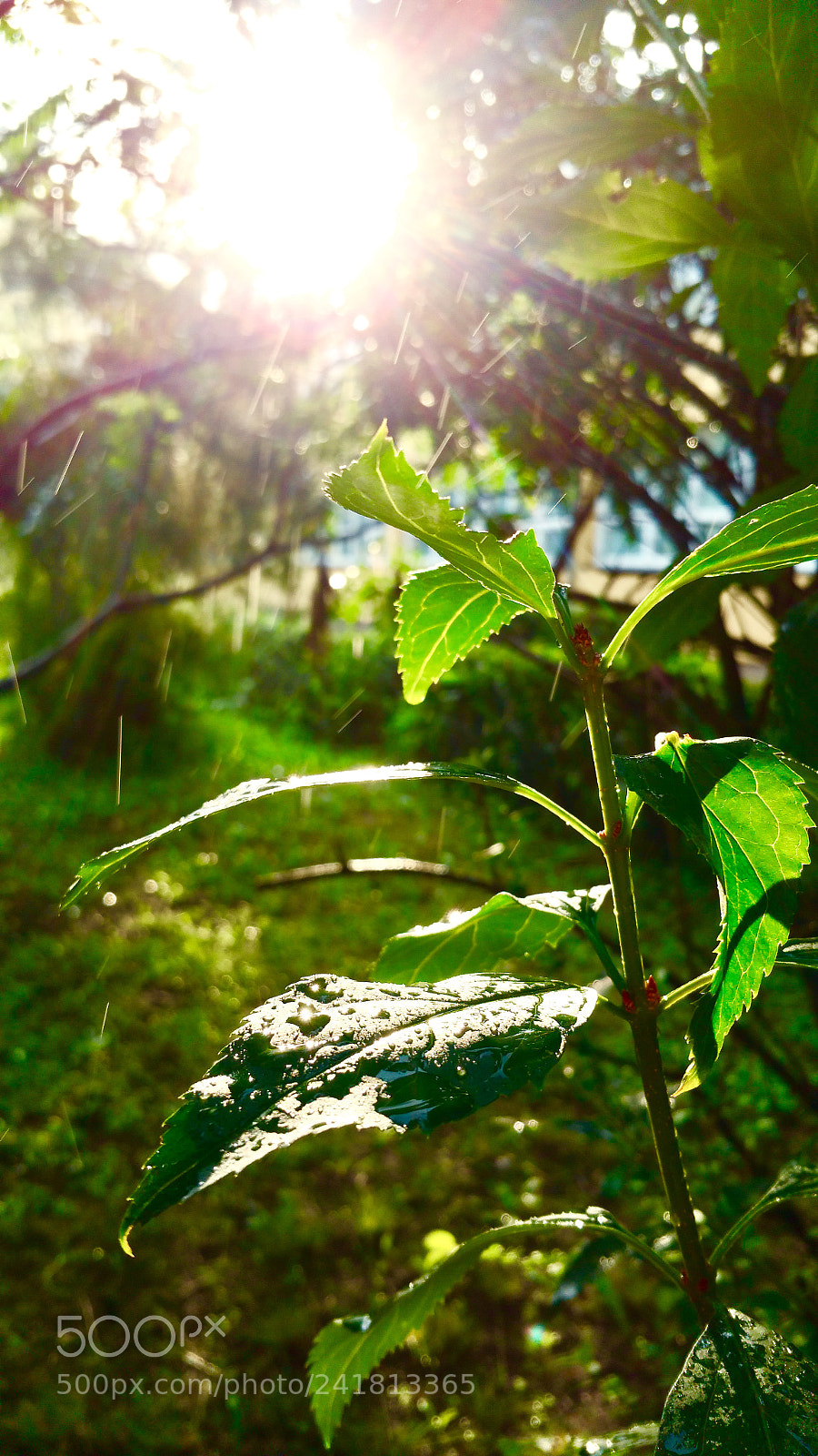 Samsung Galaxy Note4 sample photo. It s so good photography