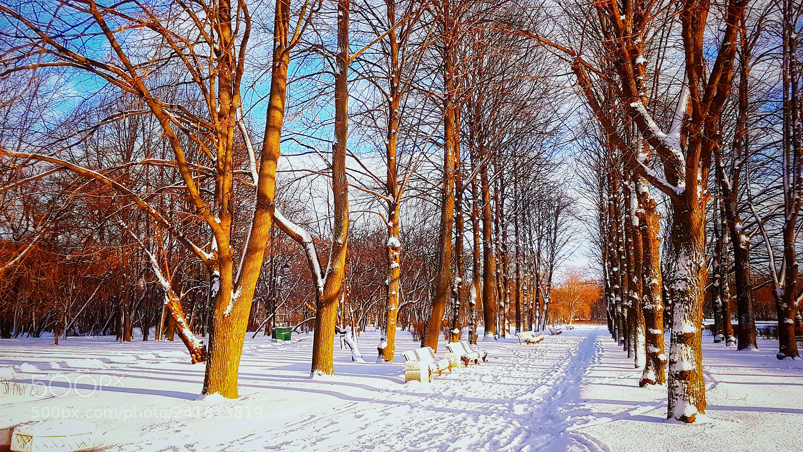 Samsung Galaxy S7 Edge sample photo. Sunny winter photography