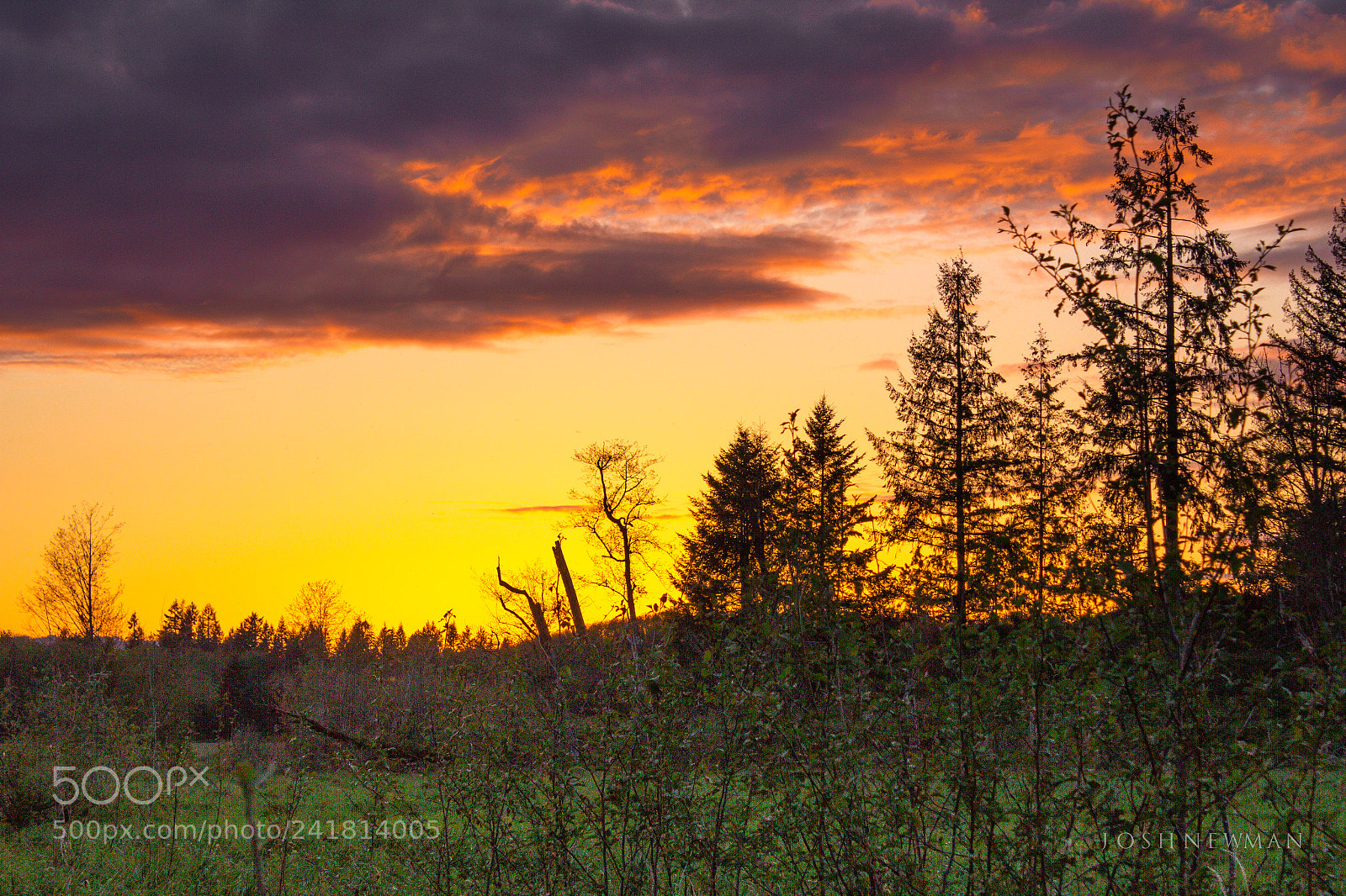 Canon EOS 550D (EOS Rebel T2i / EOS Kiss X4) sample photo. East oly farm sunset photography