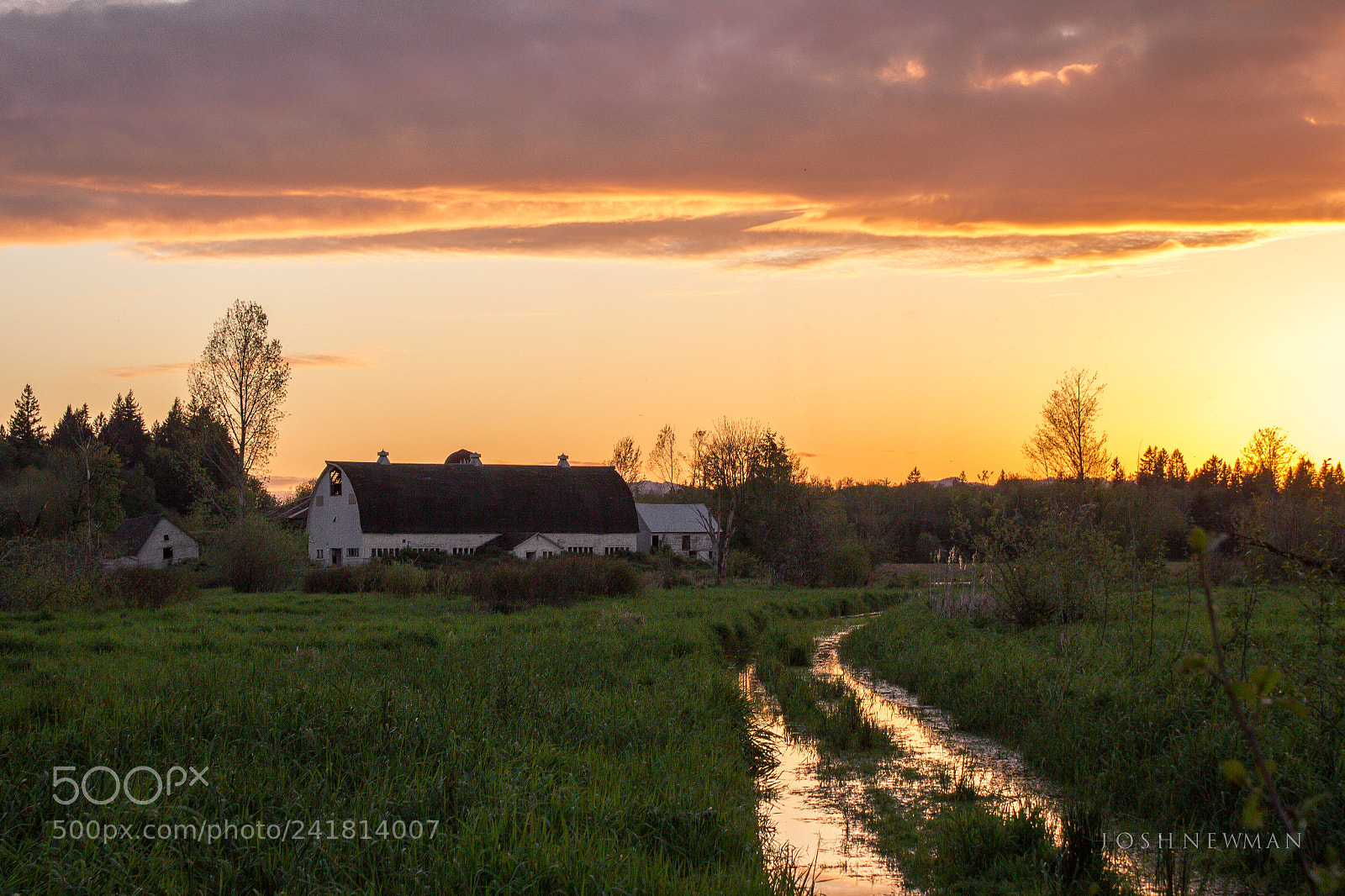 Canon EOS 550D (EOS Rebel T2i / EOS Kiss X4) sample photo. East oly farm sunset photography