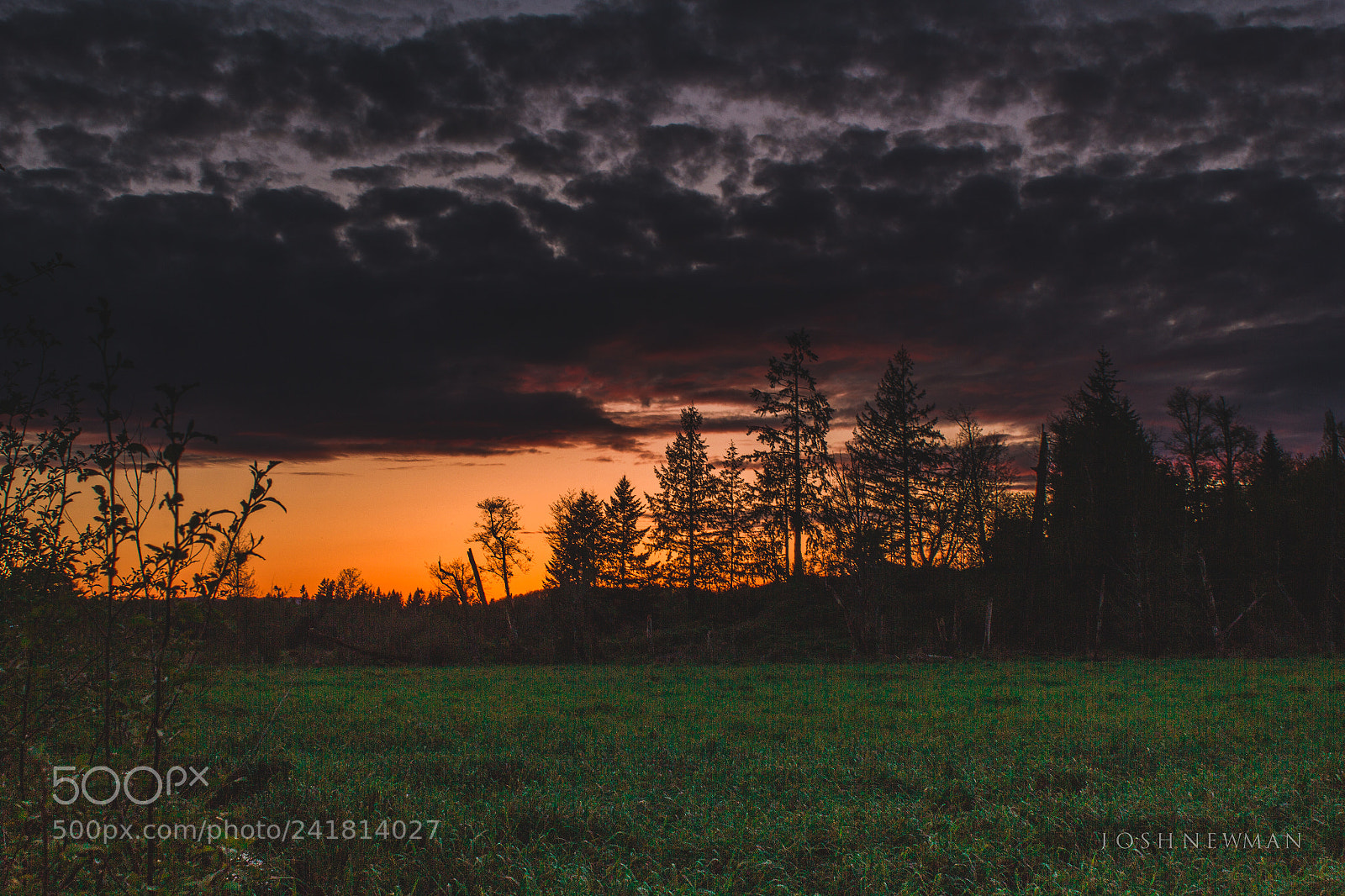 Canon EOS 550D (EOS Rebel T2i / EOS Kiss X4) sample photo. East oly farm sunset photography