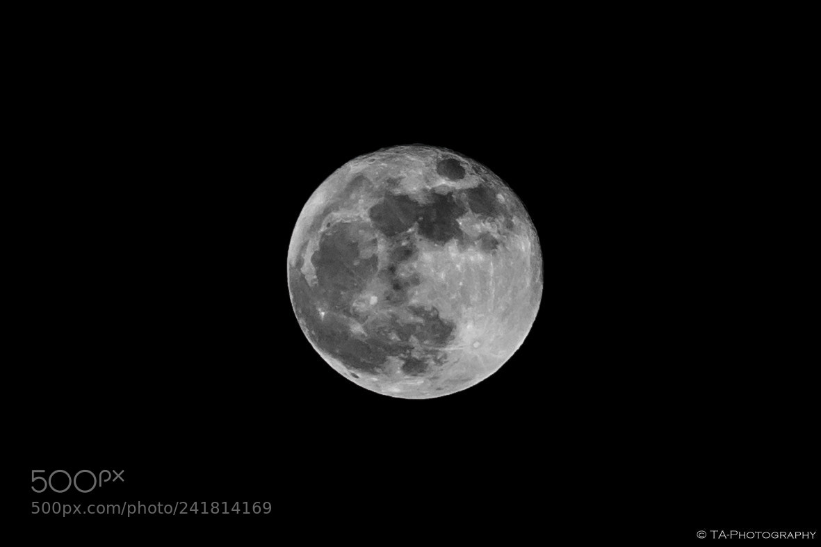 Sony SLT-A58 sample photo. Full moon photography